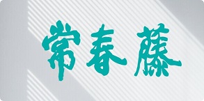 Learning English Photo