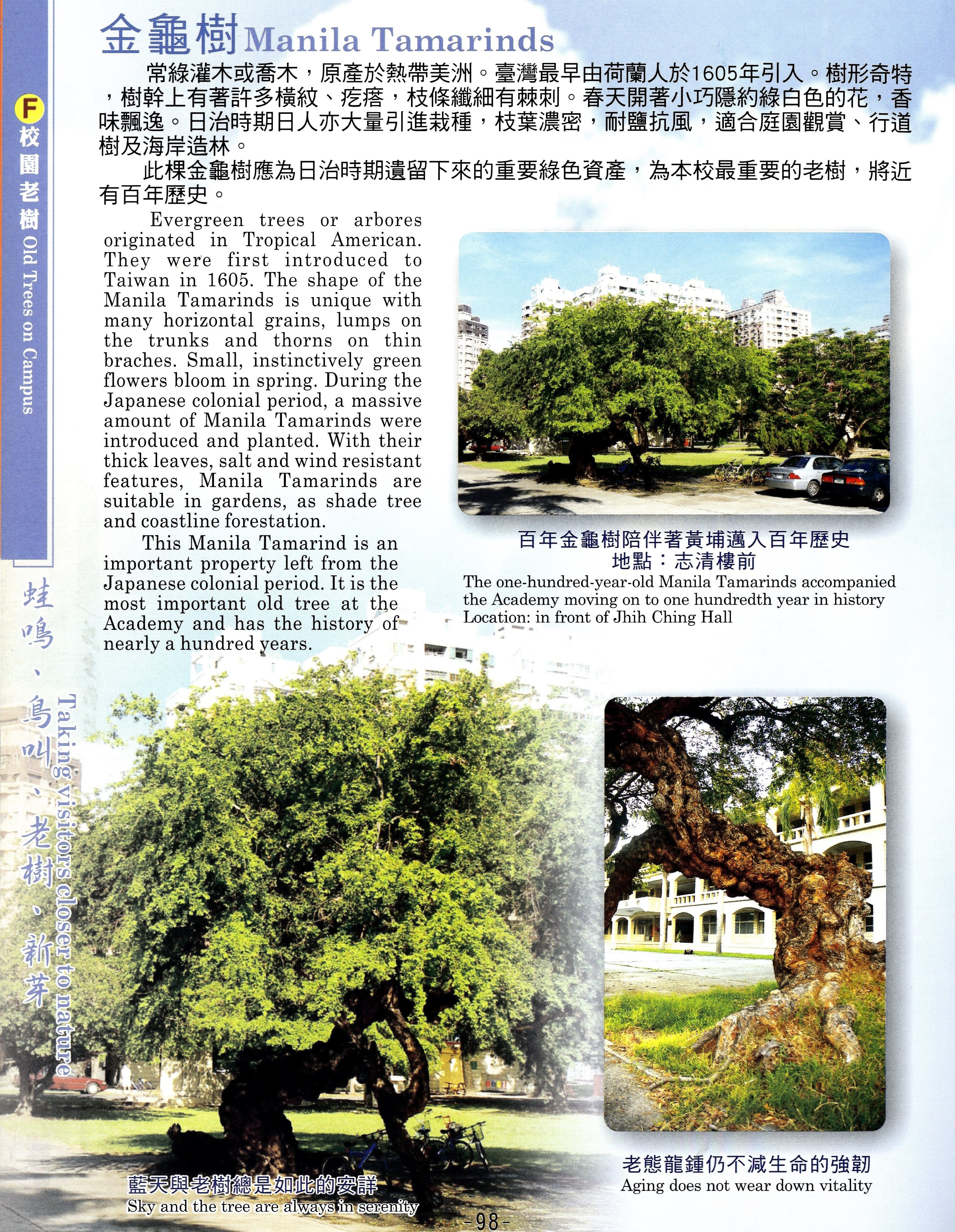 校園生態與建築，共10張圖片