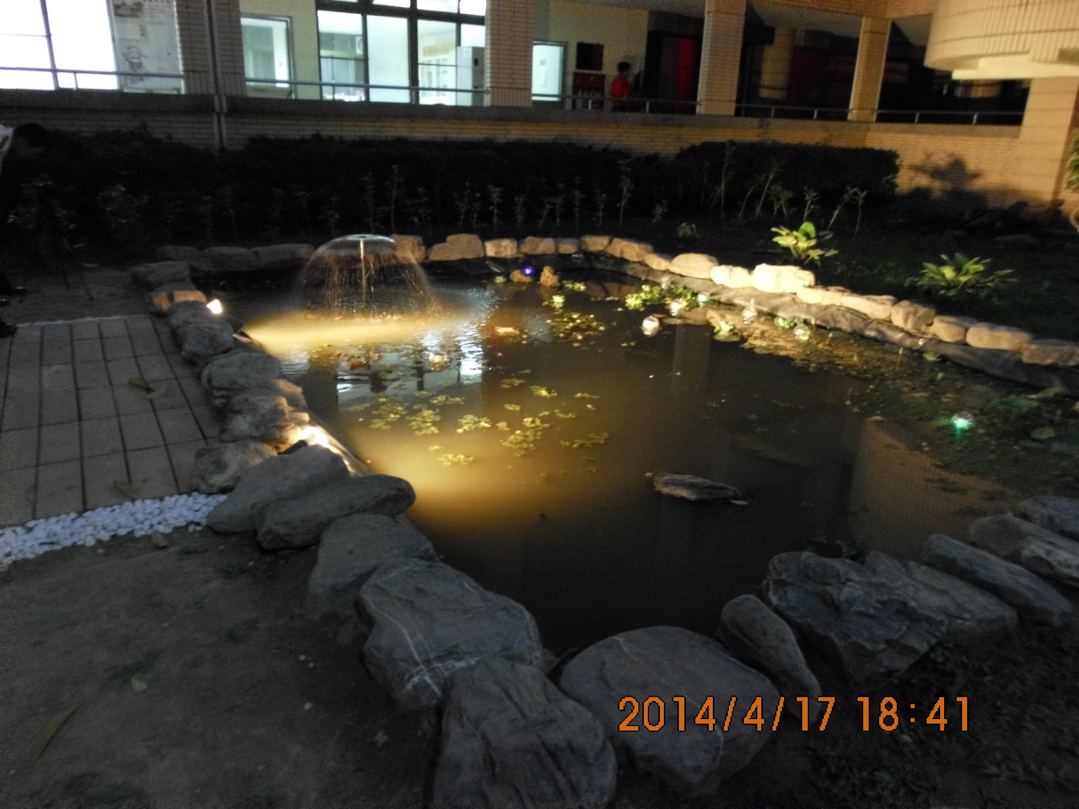 電機系花園 8.jpg